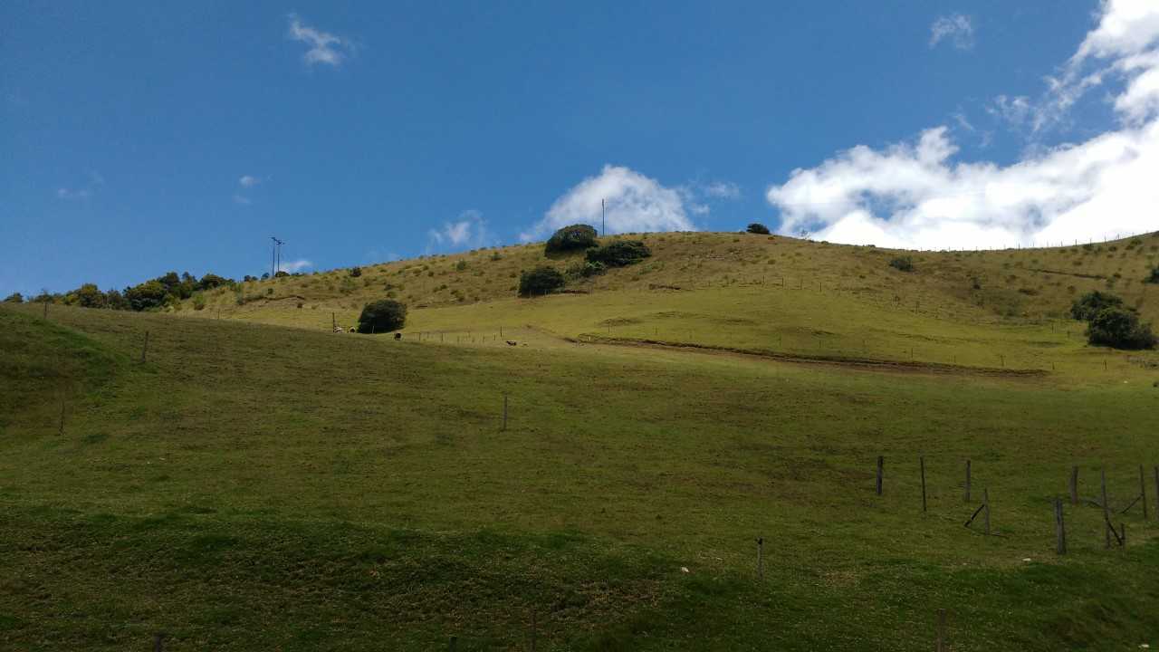 conservacion conservacion